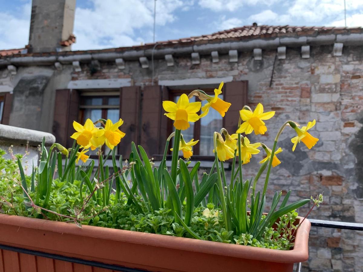 Rooftop Terrace Domus Dei Fabbri Венеция Экстерьер фото